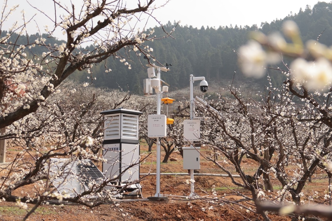 我公司供应福建农业智能化综合监测系统落地安装验收!