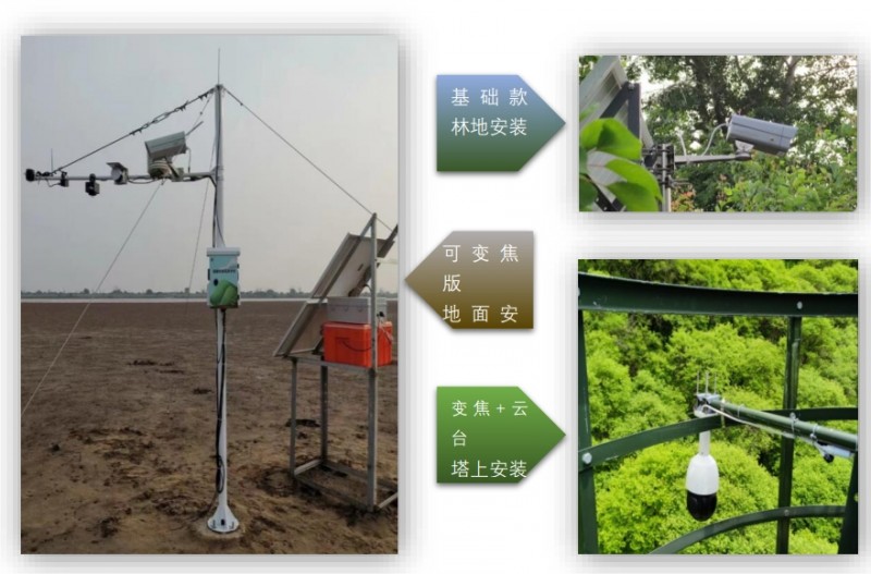 多光谱植物物候监测系统